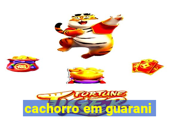 cachorro em guarani